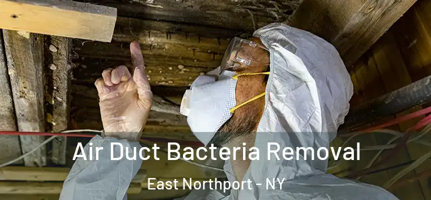  Air Duct Bacteria Removal East Northport - NY