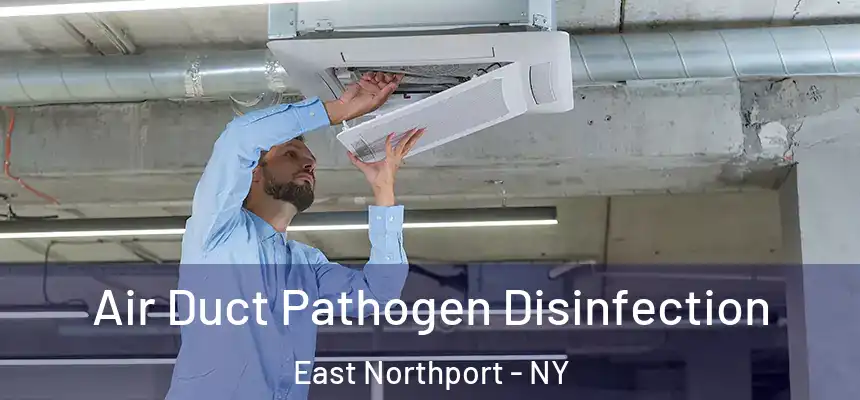  Air Duct Pathogen Disinfection East Northport - NY