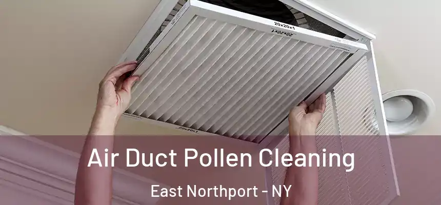 Air Duct Pollen Cleaning East Northport - NY