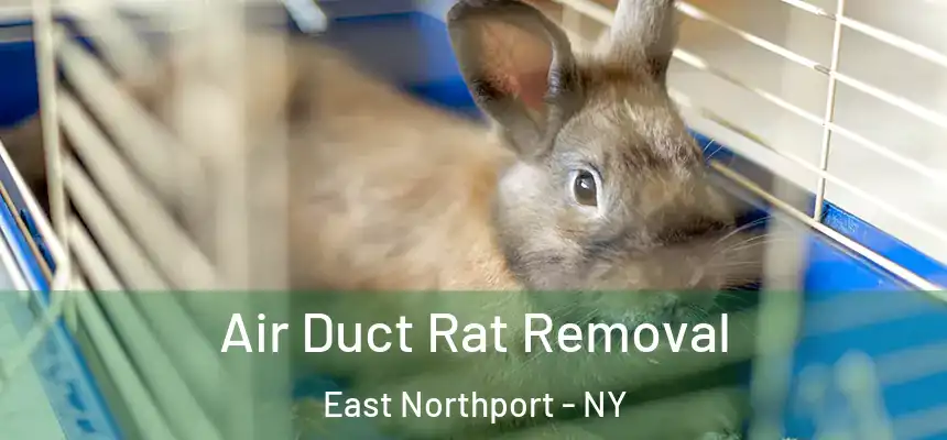  Air Duct Rat Removal East Northport - NY