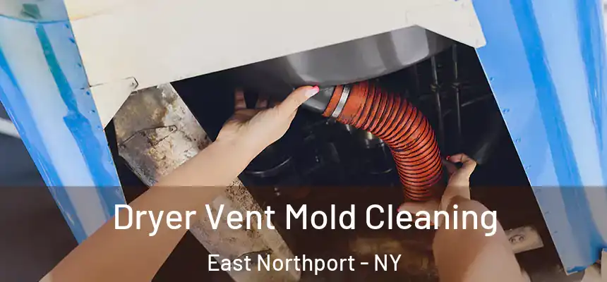  Dryer Vent Mold Cleaning East Northport - NY