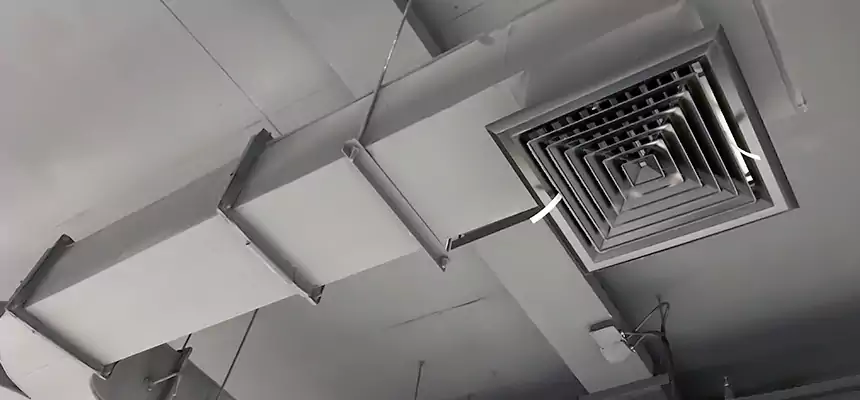 Restorative Allergy Relief Vent Cleaning – Coil, Blower & Housing Detail in East Northport