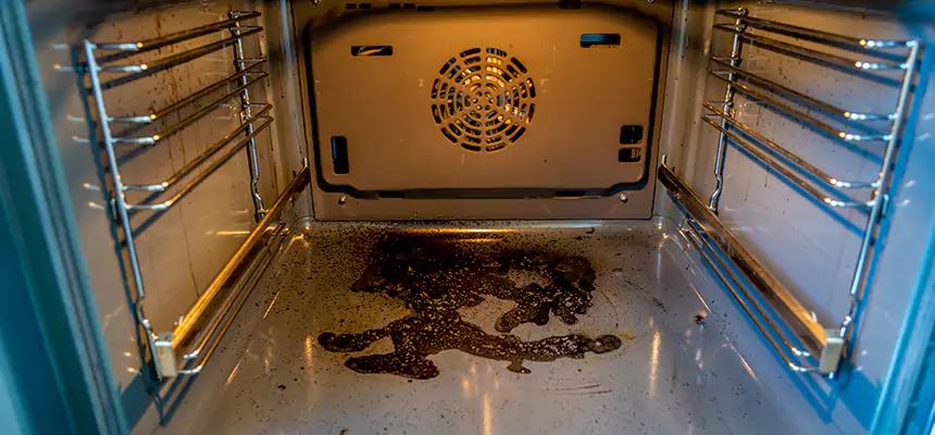 Our Dryer Vent Mold Cleaning Services in East Northport, NY