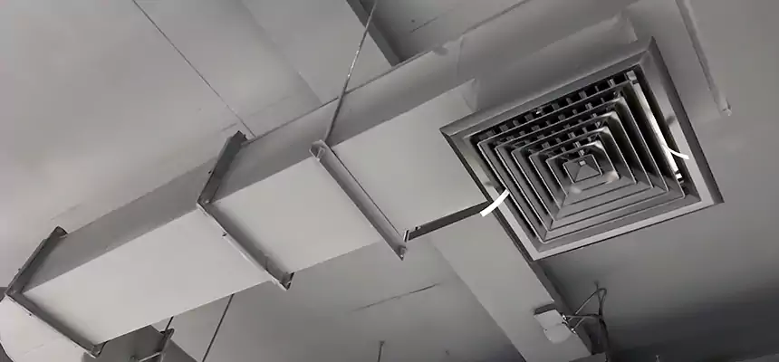 Our Pest Removal From Ducts Services in East Northport, NY