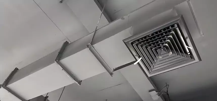 Our Rodent Droppings In Vents Services in East Northport, NY