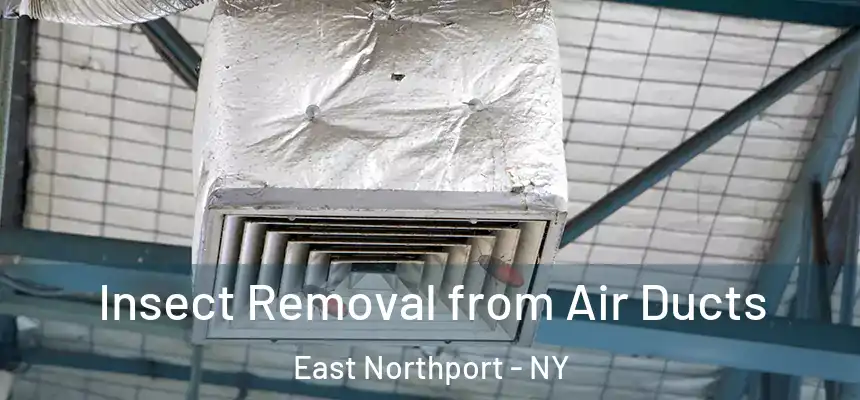  Insect Removal from Air Ducts East Northport - NY