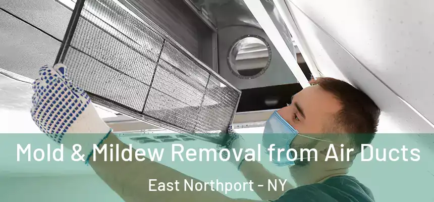  Mold & Mildew Removal from Air Ducts East Northport - NY