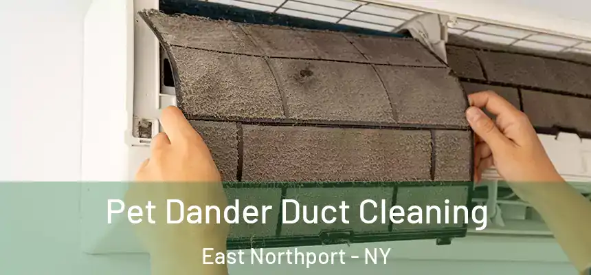 Pet Dander Duct Cleaning East Northport - NY