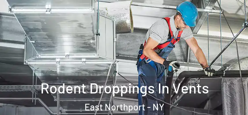  Rodent Droppings In Vents East Northport - NY