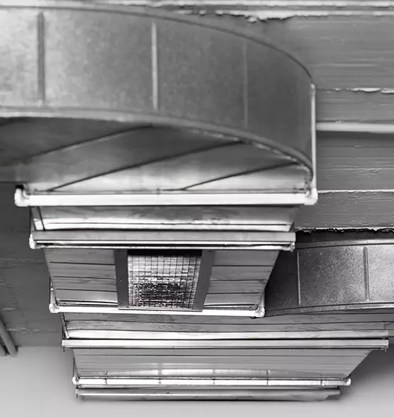 Professional Air Duct Pest Removal in East Northport, NY