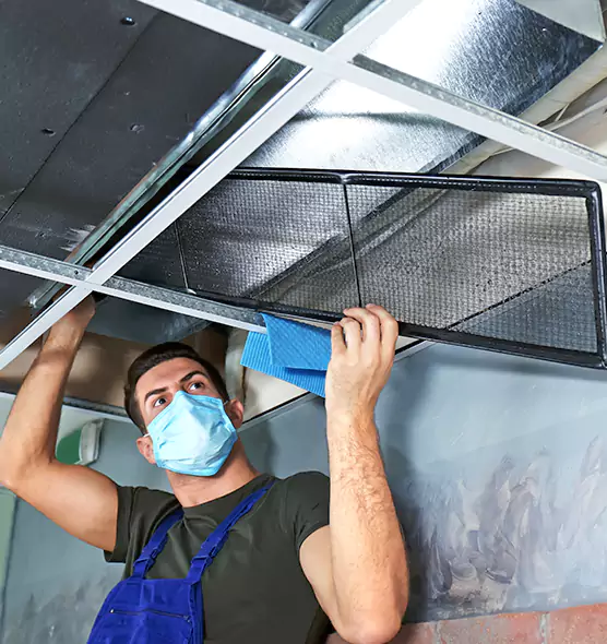 Professional Air Duct Pollen Cleaning in East Northport, NY