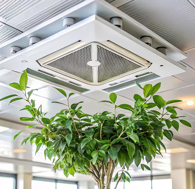 Why Homeowners & Businesses Trust Us in East Northport, NY?