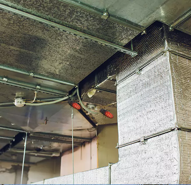 Why Homeowners & Businesses Trust Us East Northport, NY?