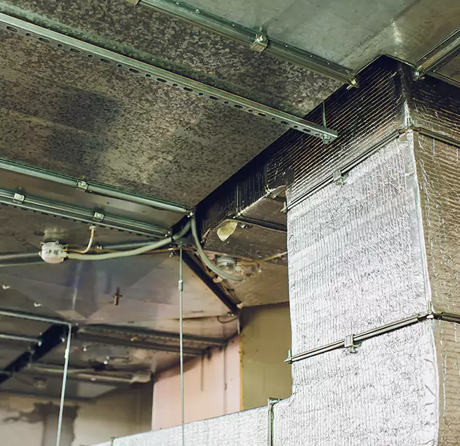 Why Homeowners & Businesses Trust Us in East Northport, NY?